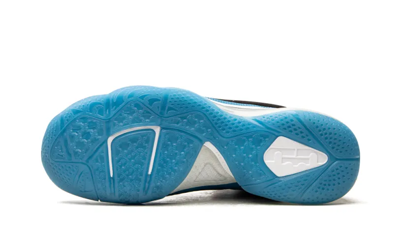 Nike Basketball Lebron 9 'South Coast' 