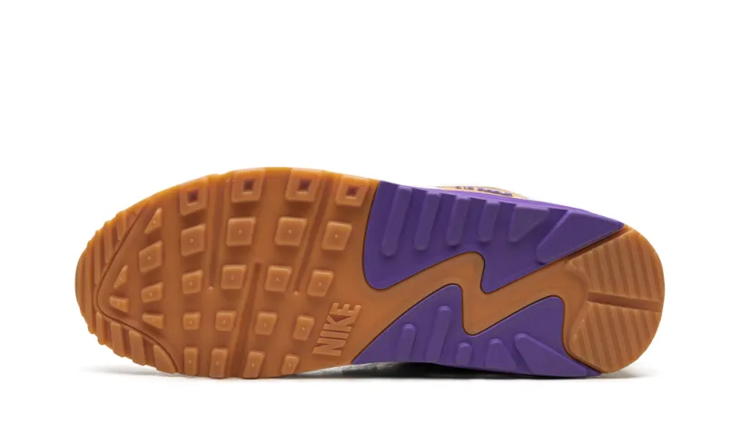 Nike Air Max Air Max 90 'Sail Purple' 