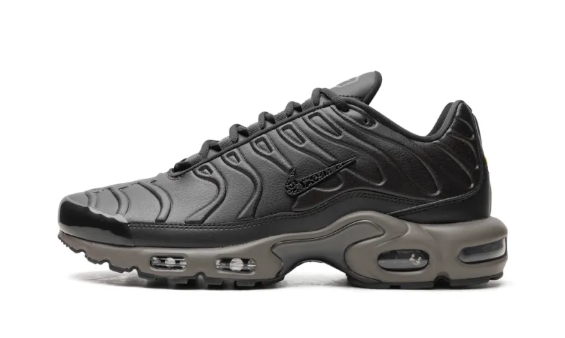 Nike Air Max Air Max Plus 'Black Tea / Petra Brown' 'Black Tea / Petra Brown'