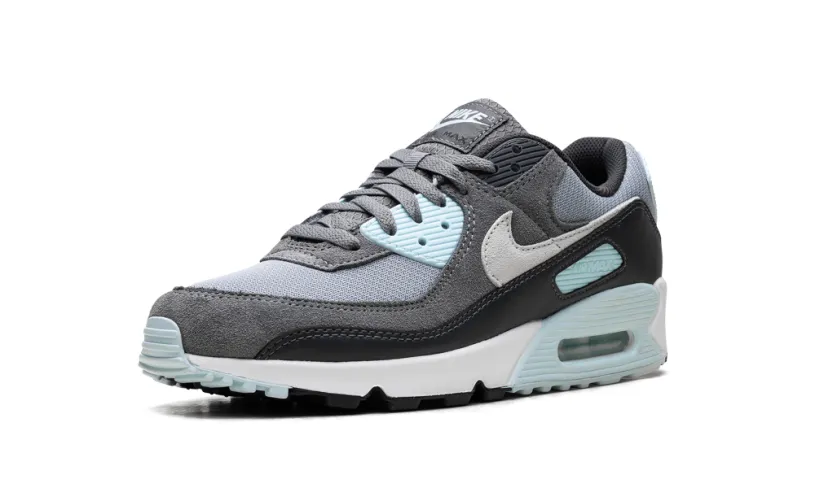 Nike Air Max Air Max 90 'Pumice' 