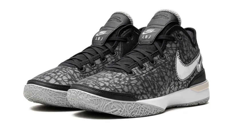 Nike Basketball Zoom LeBron NXXT Gen 'Black / Wolf Grey'