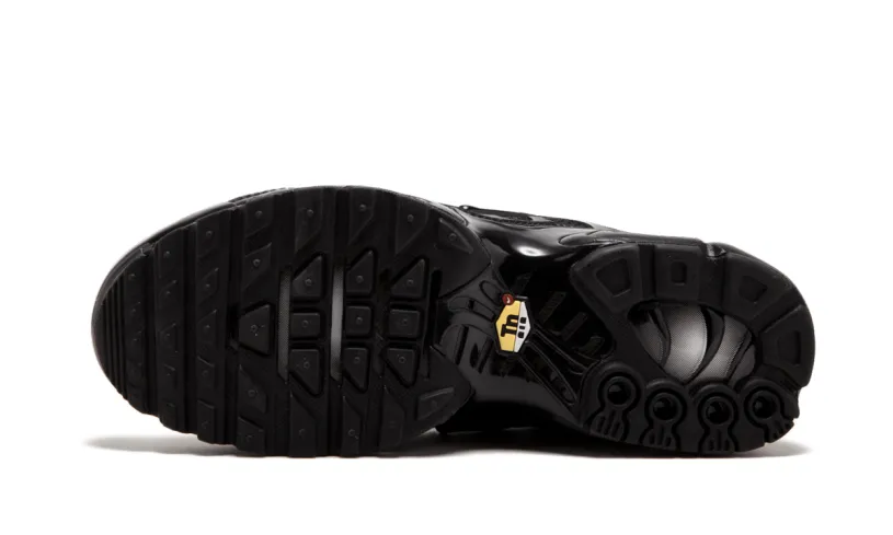 Nike Air Max Air Max Plus 'Triple Black' 