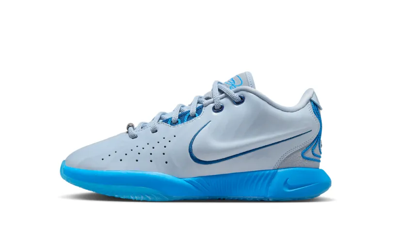 Nike Basketball LeBron 21 'Diver'