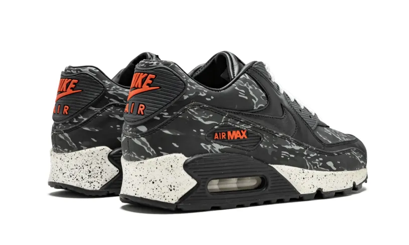 Nike Air Max Air Max 90 Premium 'Atmos'