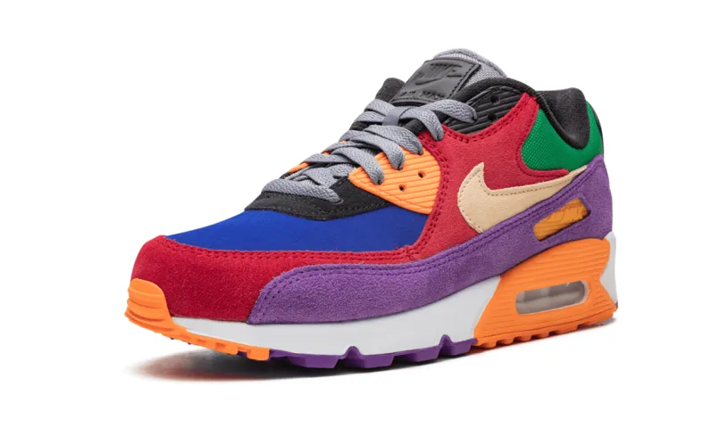 Nike Air Max Air Max 90 'Viotech' 