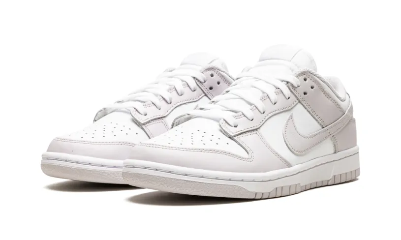 Nike Dunk DUNK LO MNS WMNS 'Venice'
