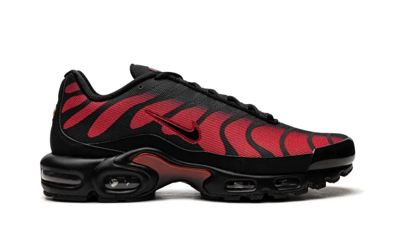 Nike Lifestyle Air Max Plus 'Bred Reflective'