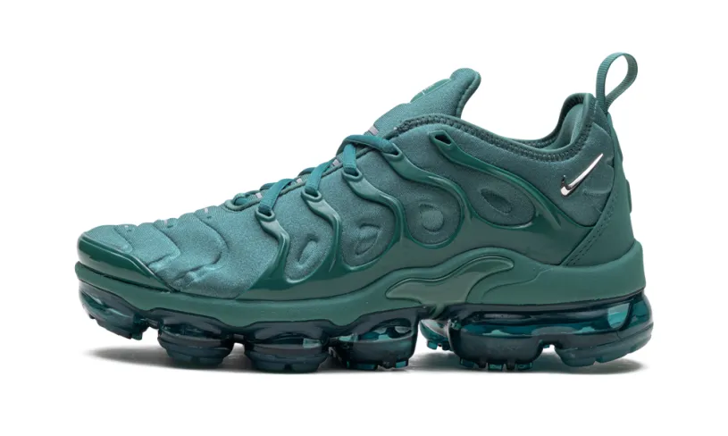 Nike Air Max Air Max VaporMax Plus WMNS 'Bicoastal'