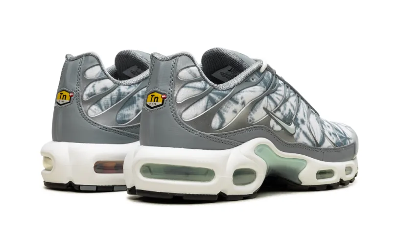 Nike Air Max Air Max Plus 'Waterway' 