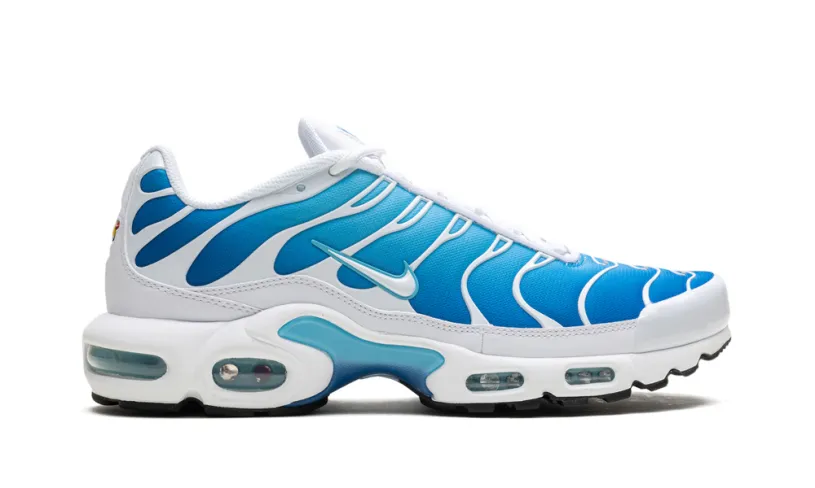Nike Air Max Air Max Plus 'Blue Gaze' 